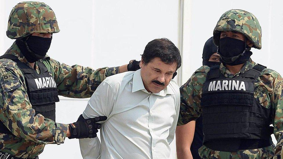 Por qué atrapar a grandes capos no acaba con la violencia del narcotráfico en México sino la empeora