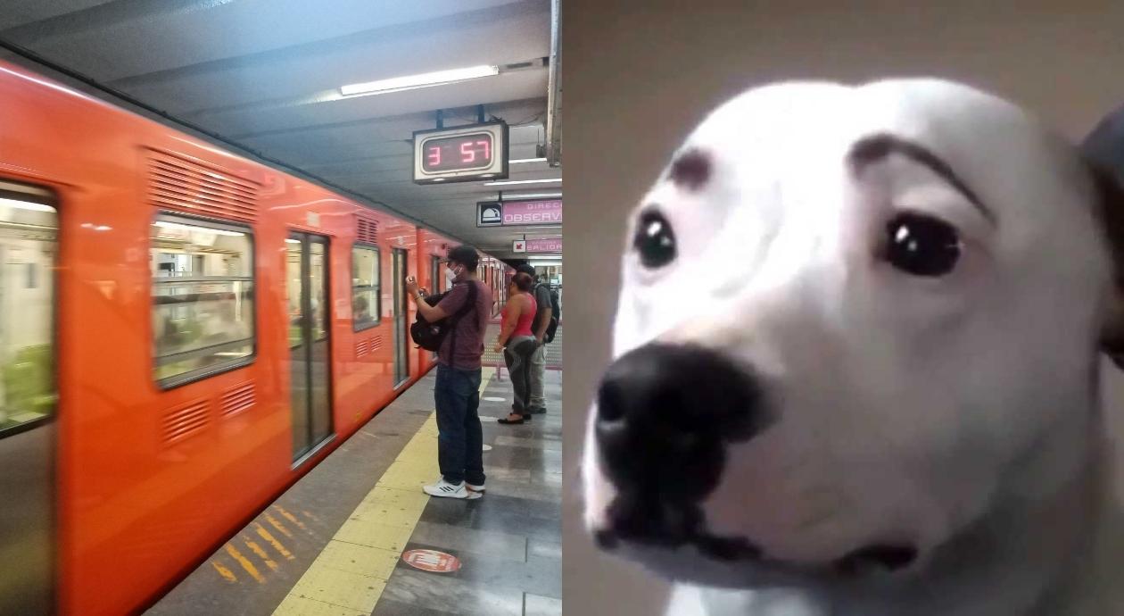 Foto de una quinceañera, chanclas, una tesis y *los objetos más raros perdidos en el Metro CDMX*