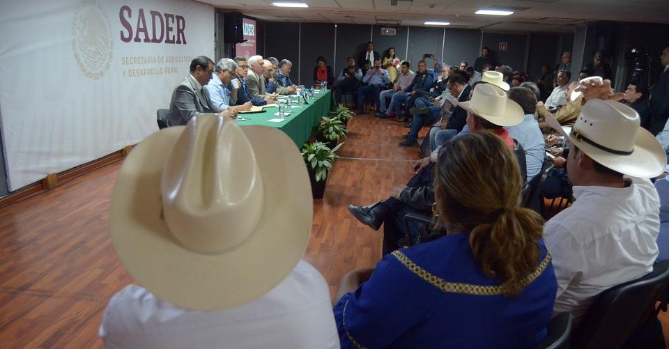 ‘Aceptan compensación o se van sin nada’, así sacan de la administración a funcionarios de Agricultura