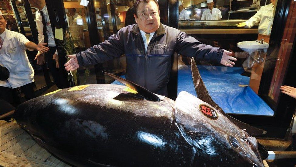 El “rey del atún” japonés paga un récord de US$3 millones por un atún gigante