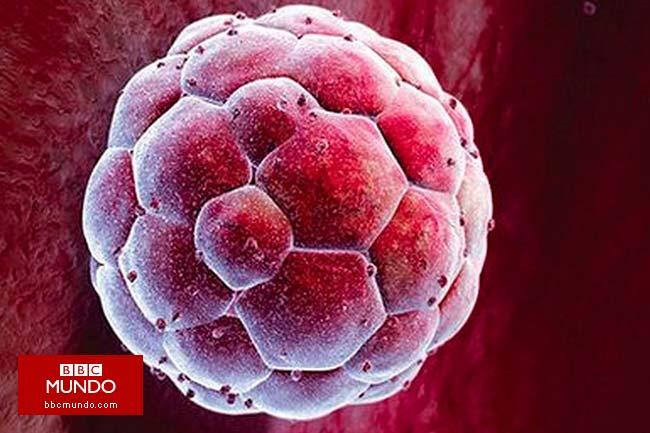 Un paso más hacia la clonación humana