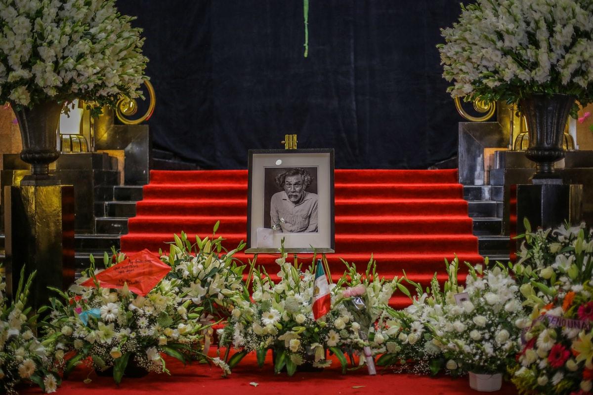 *Francisco Toledo ya es un papalote en el cielo*: claves para entender -y amar- su obra