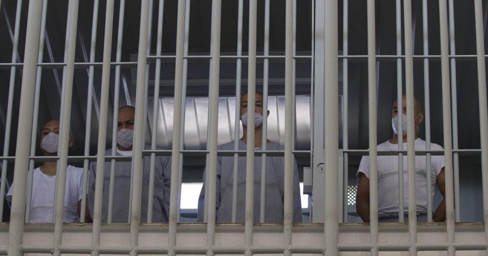 Gobierno recibe más de 400 solicitudes de amnistía, pero aún no se concede ninguna