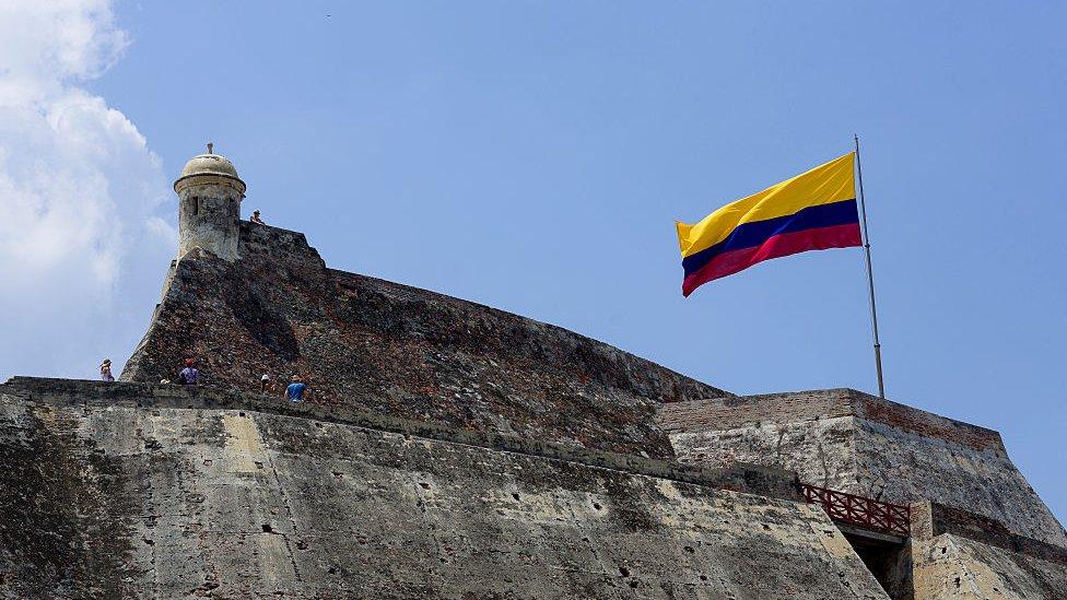 Cartagena: la concha negra, el microorganismo “invasor” que devora en silencio las históricas murallas de ciudad de Colombia