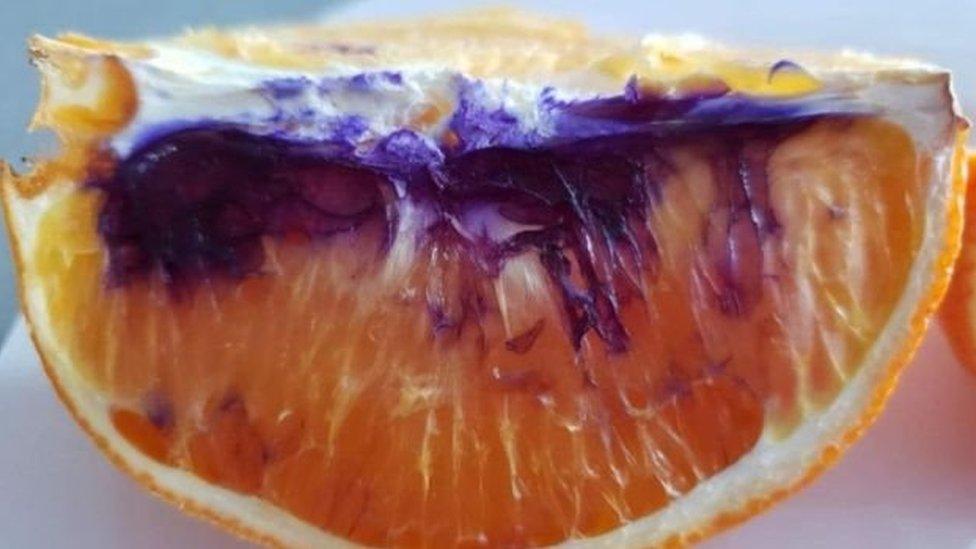 Resuelven el misterio de la naranja que se volvió morada