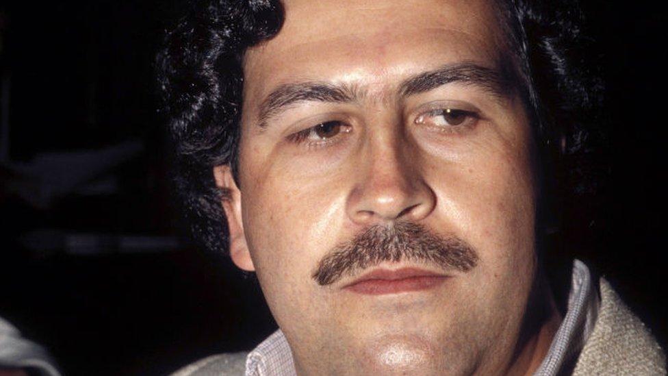 Por qué los capos narcos como Pablo Escobar y “El Chapo” Guzmán son “una especie en extinción”
