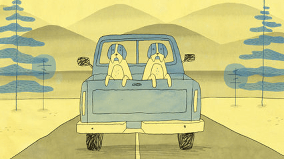 Los perros me enseñaron a ser humano