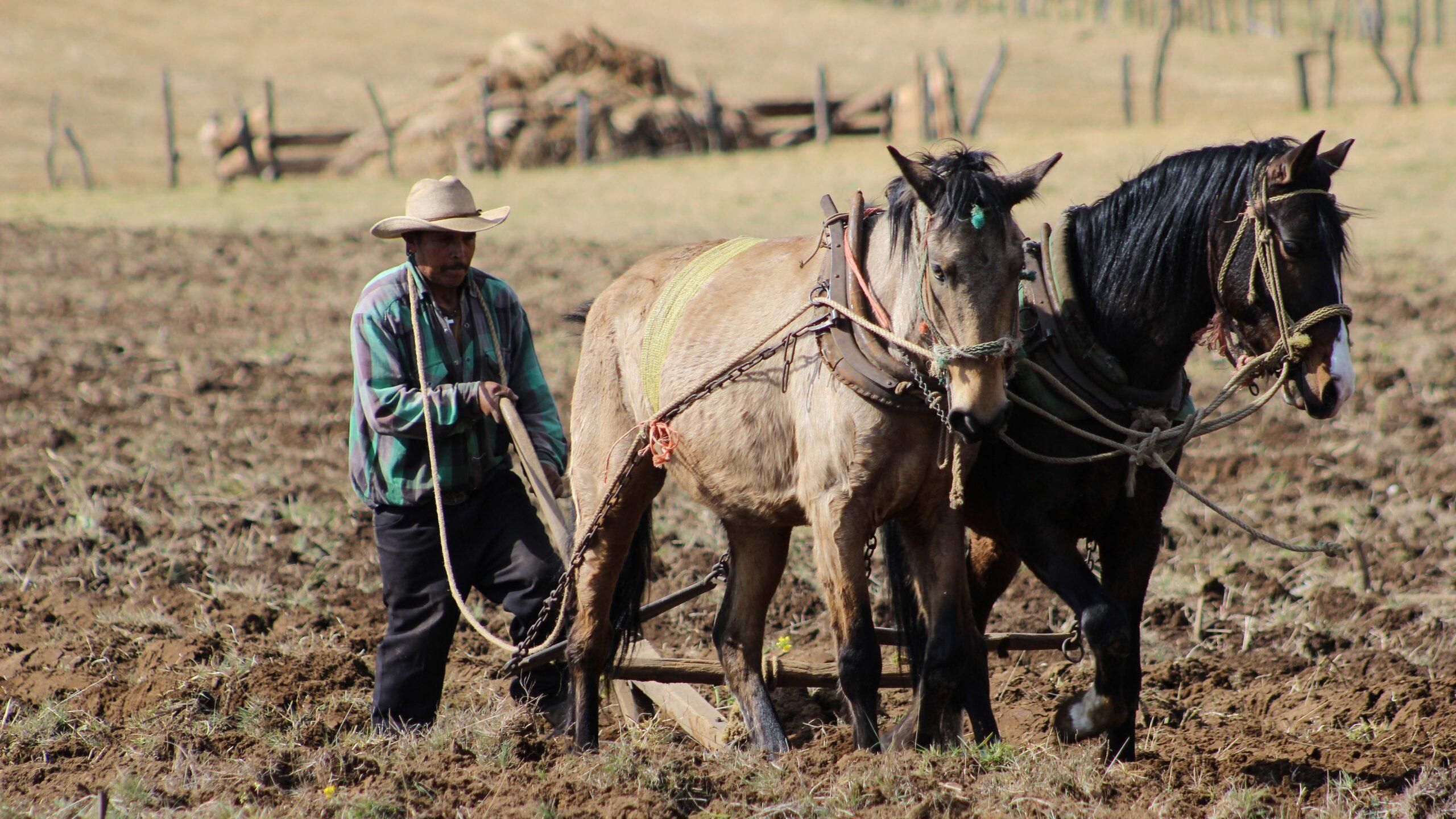 La inflación en México alcanzó su máximo histórico: es la más alta de los últimos 16 años
