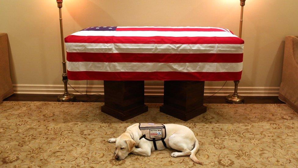 La conmovedora imagen del perro de George HW Bush tendido al lado del féretro del fallecido expresidente