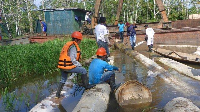 Tala ilegal en la Amazonía: la dura advertencia a Perú por los “niveles desenfrenados” de esta práctica y la postura del gobierno al respecto