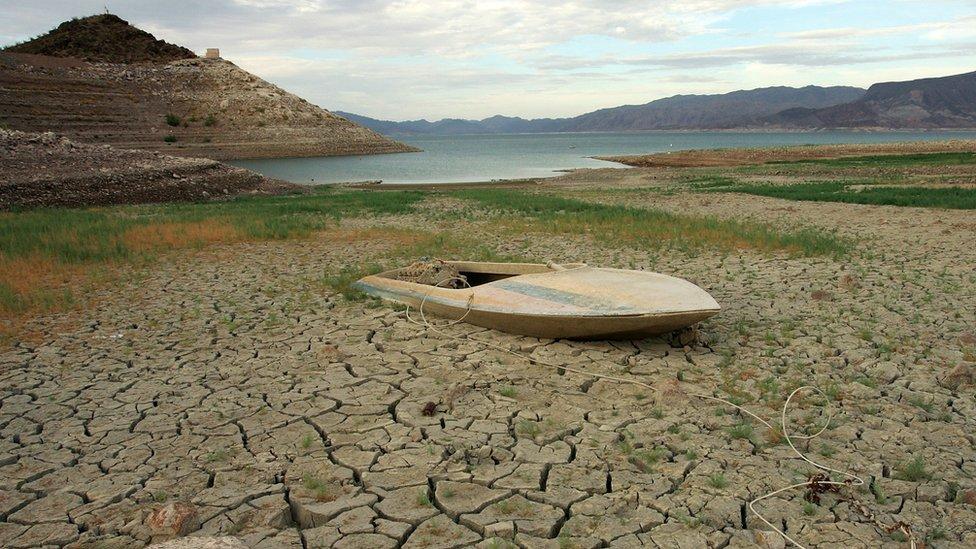 Cambio climático: de 2015 a 2018, los 4 años más cálidos de la historia