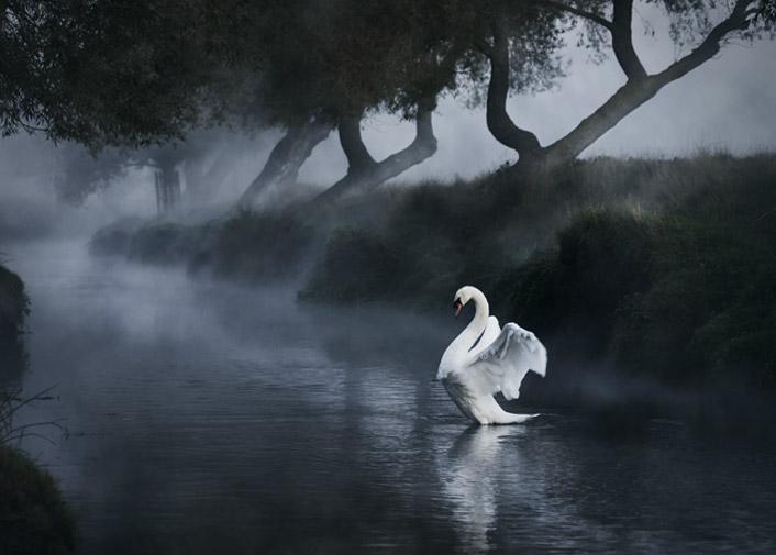 Miradas al planeta durante doce meses (octubre-diciembre)