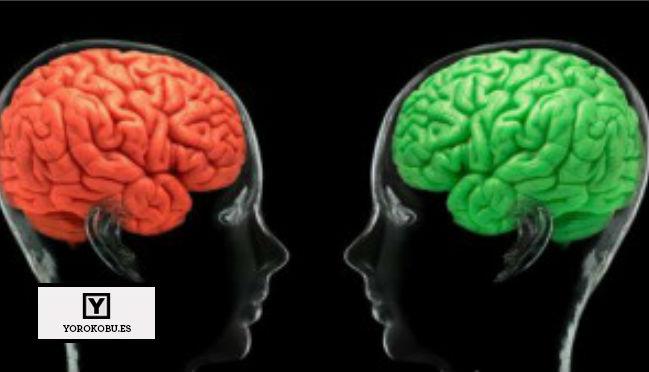 Estas son las cosas que más te hacen perder la concentración