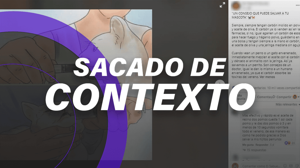 *¿Tu mascota se intoxicó?* No le des carbón con aceite, podría ser peligroso