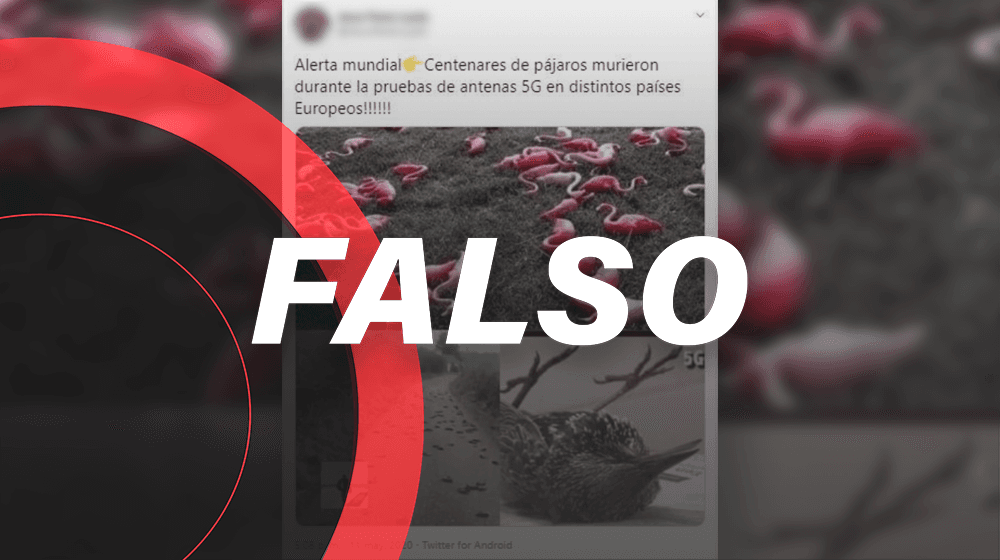 ¿Pájaros muertos en Europa por la *Red 5G*? Nop, estos flamingos nunca estuvieron vivos