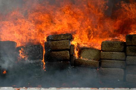 Ejercito decomisa 5 toneladas de mariguana en Sonora