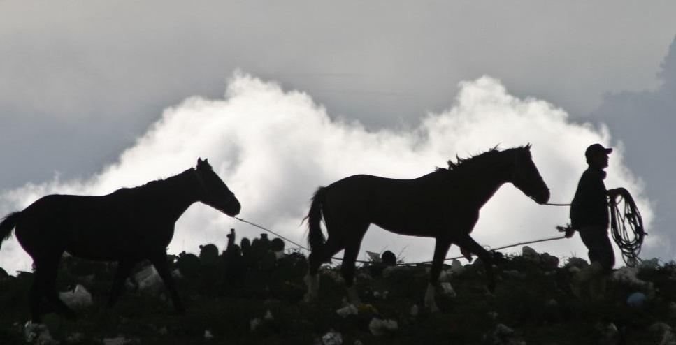 La última milla: ¿cómo se vive la pandemia en zonas rurales?