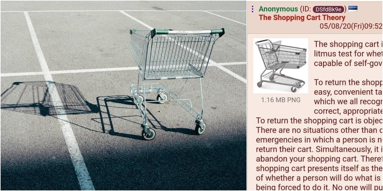 *La teoría del carrito de supermercado*: la pregunta viral que pondrá a prueba tu empatía