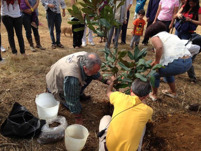 Hace 2 años cambió este país: Sicilia (fotogalería)