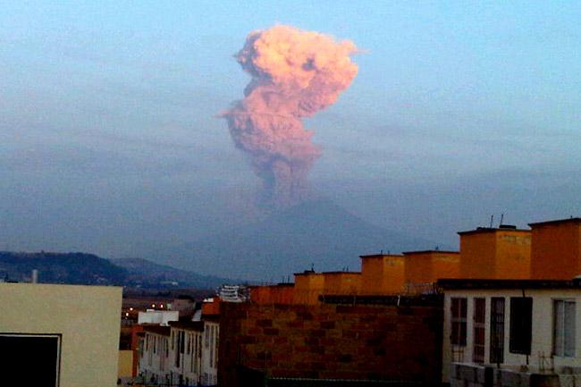 Despierta <i>Don Goyo</i> a tuiteros