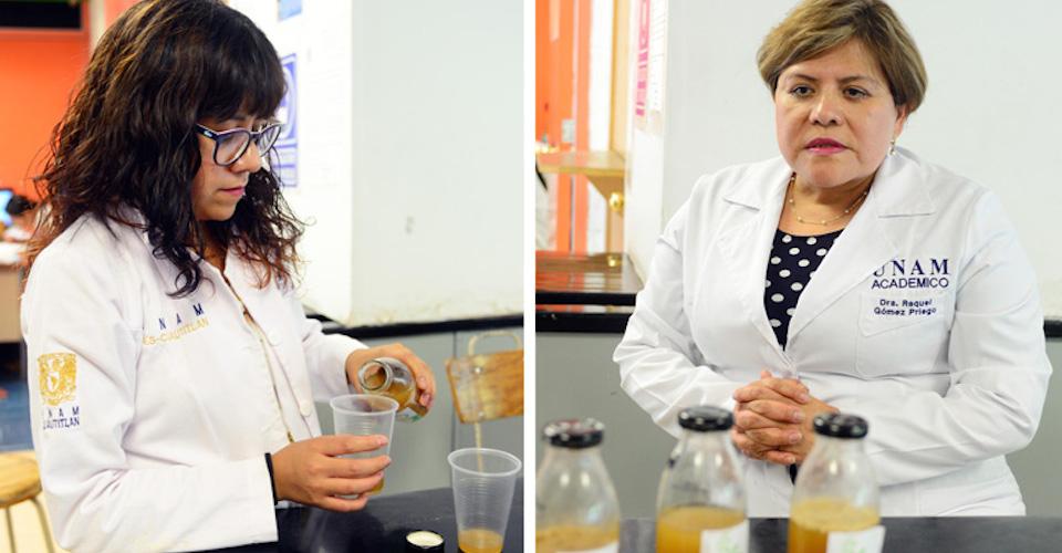 Kombufesc, la bebida creada por una académica de la UNAM para reducir la glucosa y la presión alta