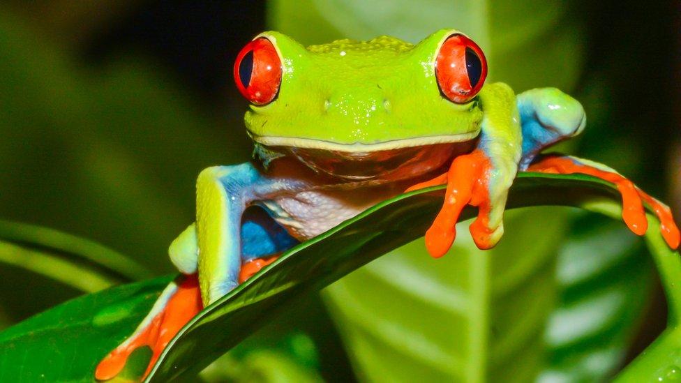¿Estamos a tiempo de salvar el planeta? María Elena Zaccagnini, una de las líderes de un emblemático estudio sobre biodiversidad responde tus preguntas