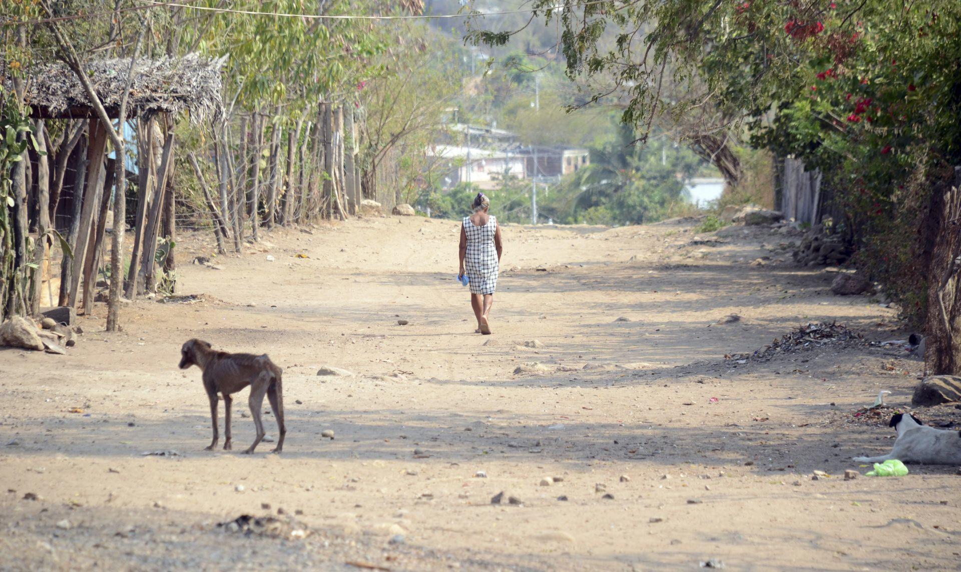 En la Sierra de Guerrero, 246 personas abandonan sus hogares por los constantes hechos de violencia