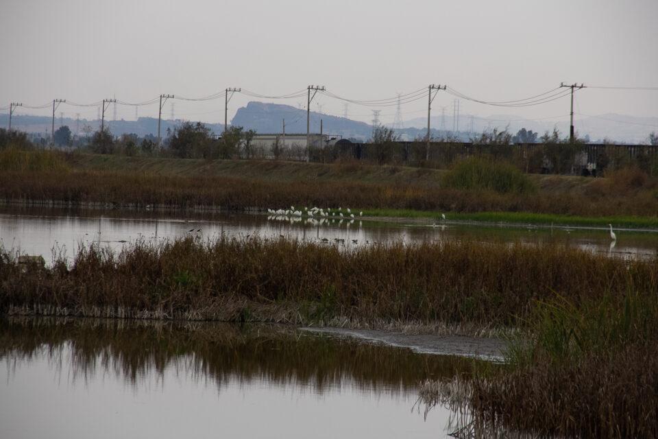 Lago de Texcoco: pobladores denuncian que no son tomados en cuenta para cuidarlo