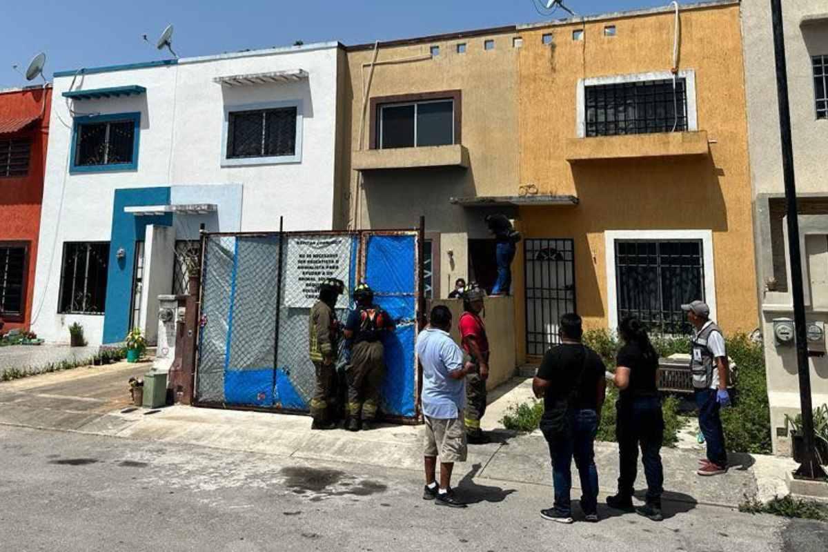 Encuentran los restos de 23 perros en una casa de Cancún, Quintana Roo
