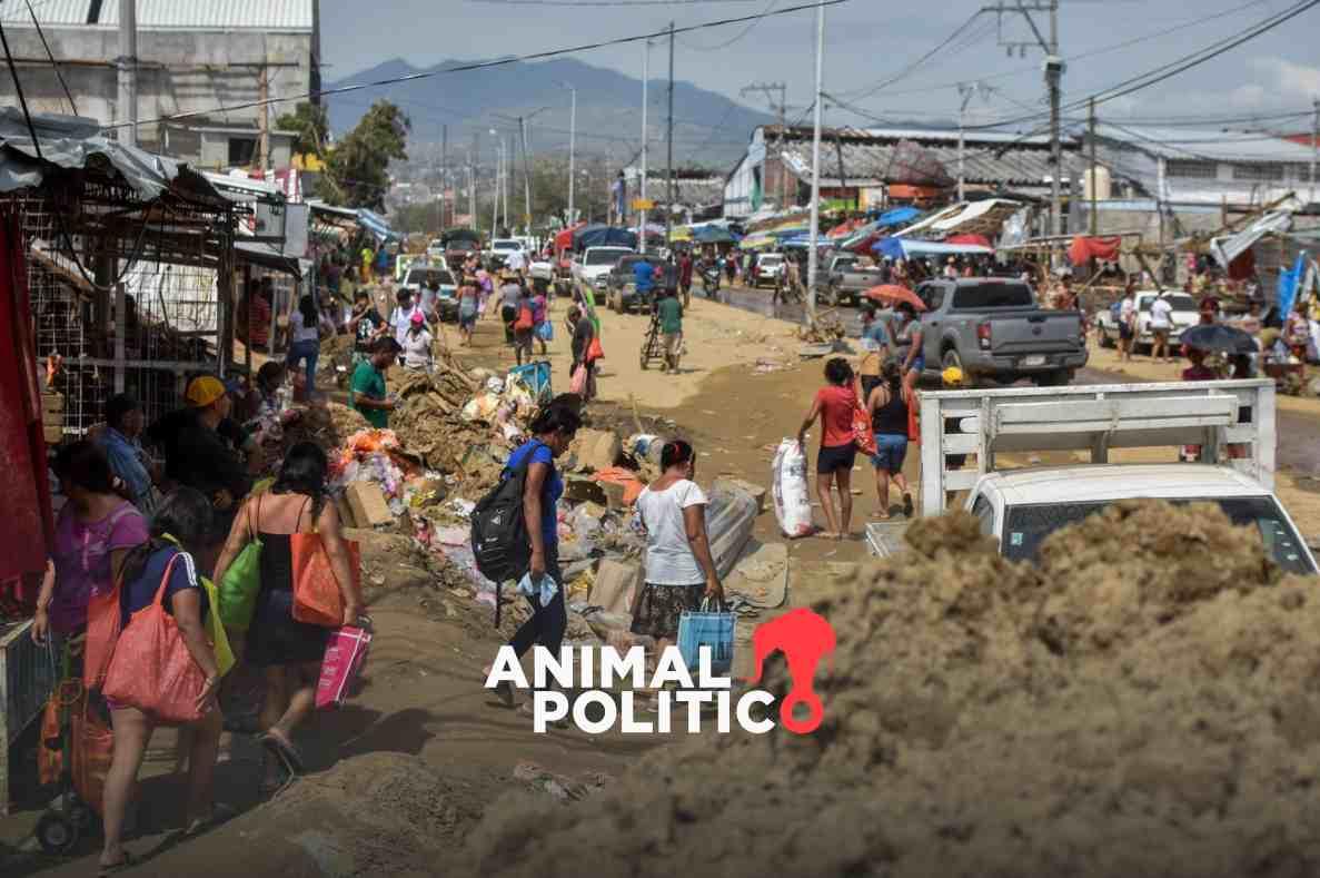 Acapulqueños viajan a la Ciudad de México en busca de un refugio ante la devastación que dejó Otis