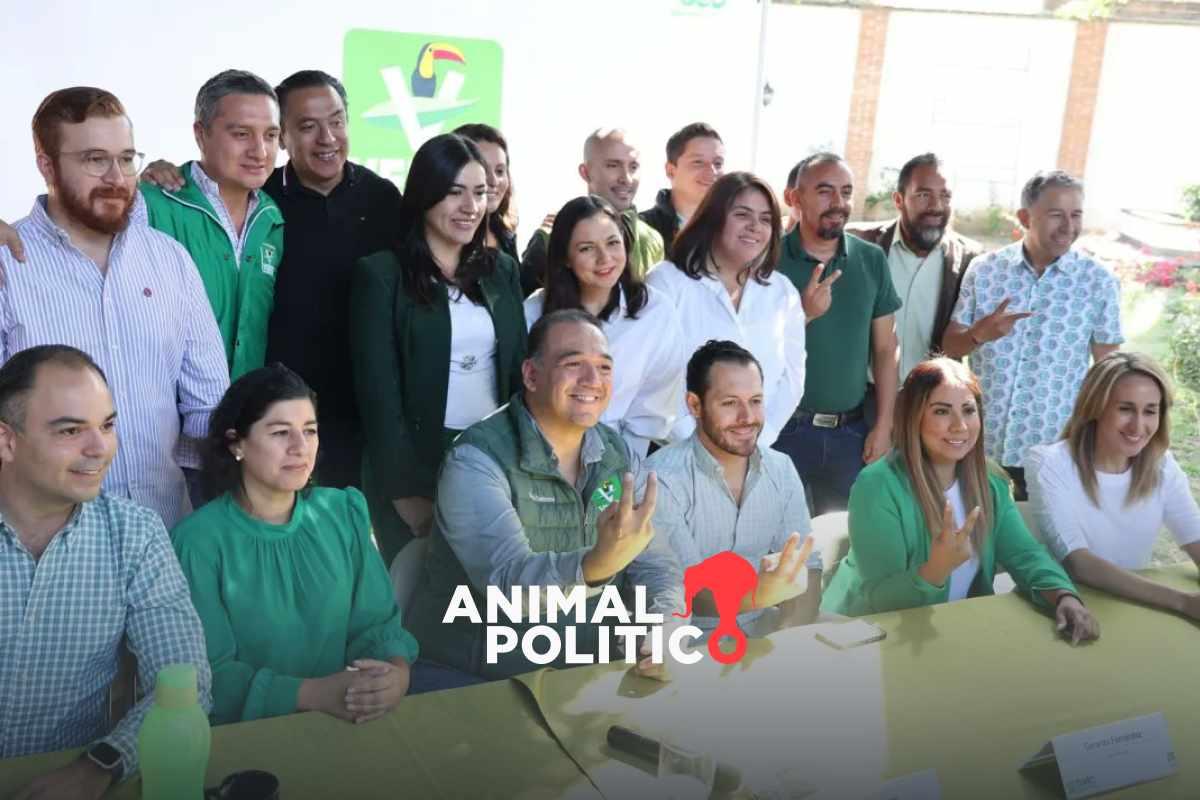 Partido Verde no irá en alianza con Morena en Guanajuato; tendrá candidatos propios