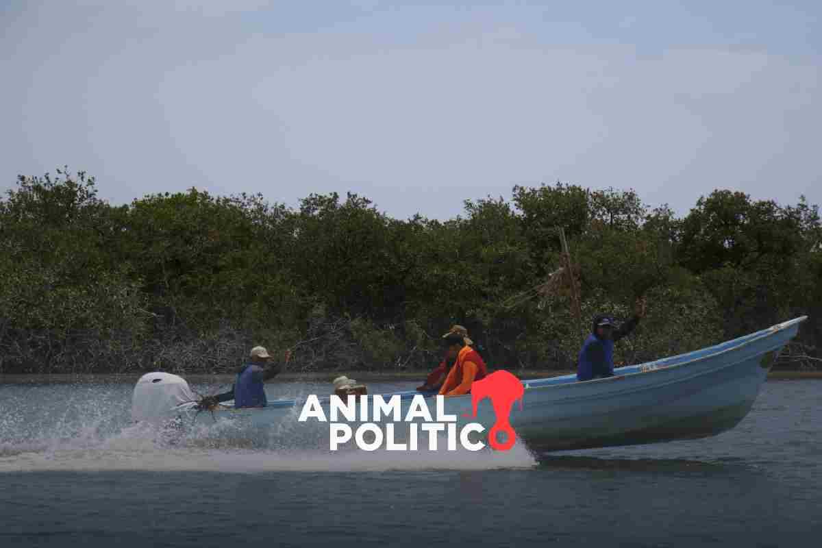 Comunidades costeras: la lucha por la pesca sostenible en México