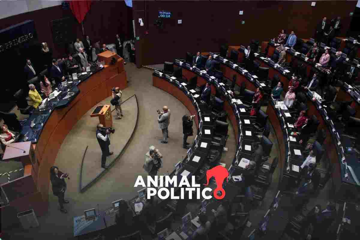 Senado ‘batea Terna De Amlo Para Ministra De La Corte Deberá Enviar Una Nueva 2027