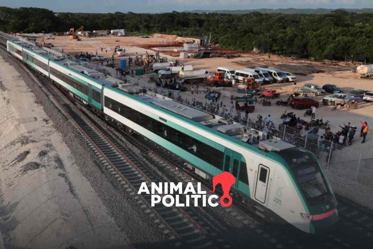 Más terrenos para el Tren Maya: AMLO emite decreto para expropiar 75 hectáreas en el sureste