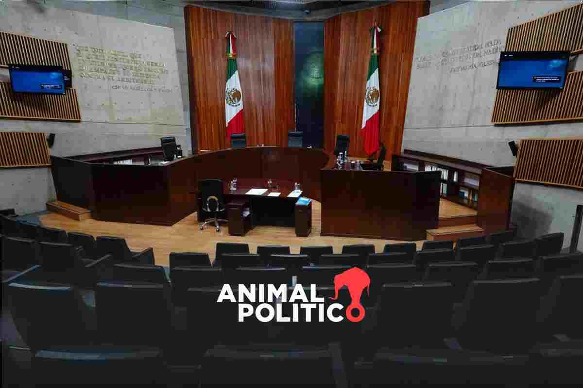 A seis meses de la elección, el Tribunal Electoral queda en el limbo