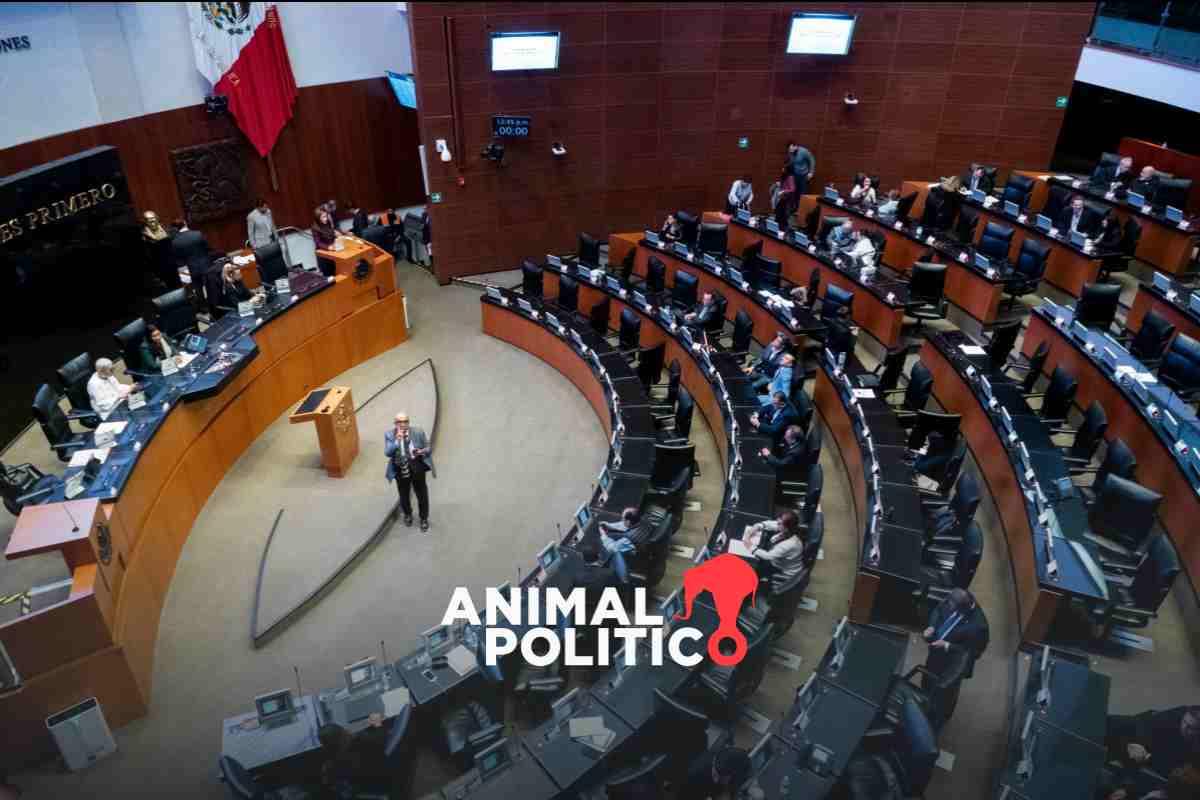El Senado cerró su periodo ordinario y deja nombramientos pendientes en organismos con crisis