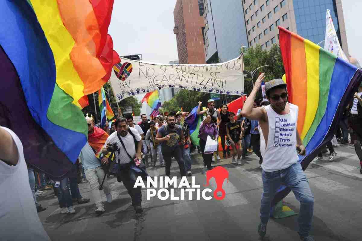 Posturas antiderechos LGBTTTI+ se cuelan a equipo de Xóchilt; en el de Sheinbaum, niegan transfobia