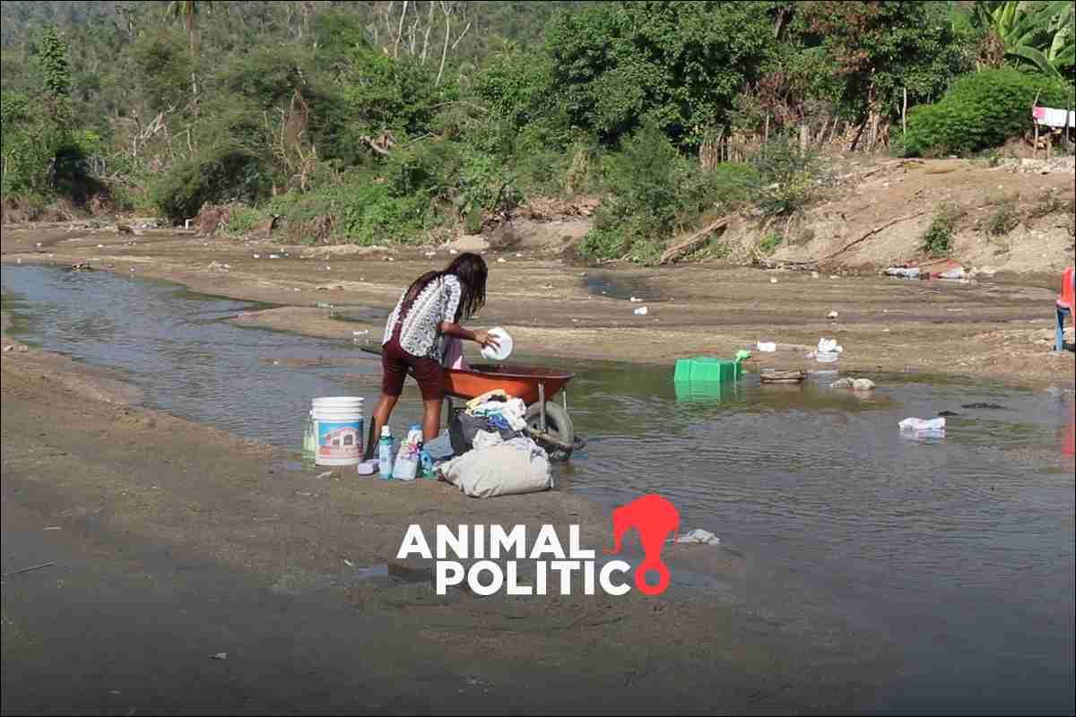 El dengue crece en Acapulco después de Otis, y la acumulación de agua estancada y basura también