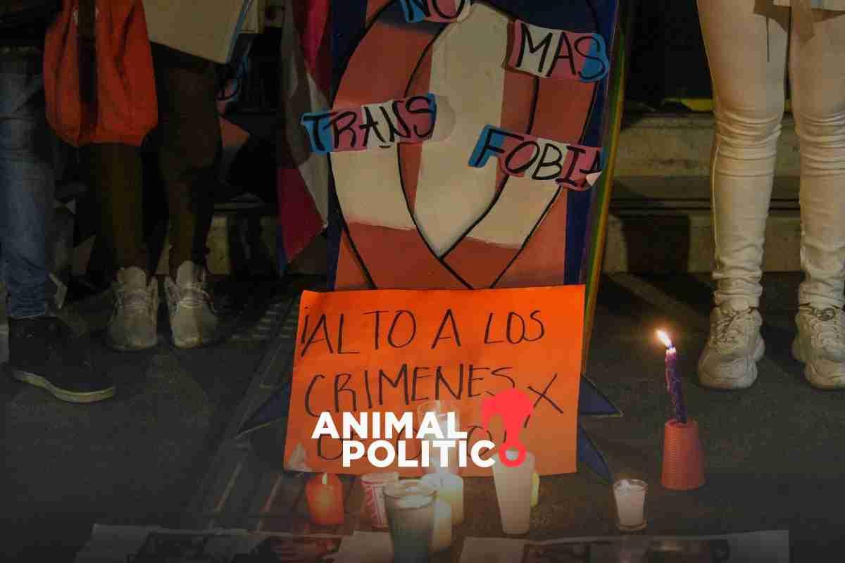 Tres mujeres trans asesinadas y dos golpeadas en 14 días de 2024