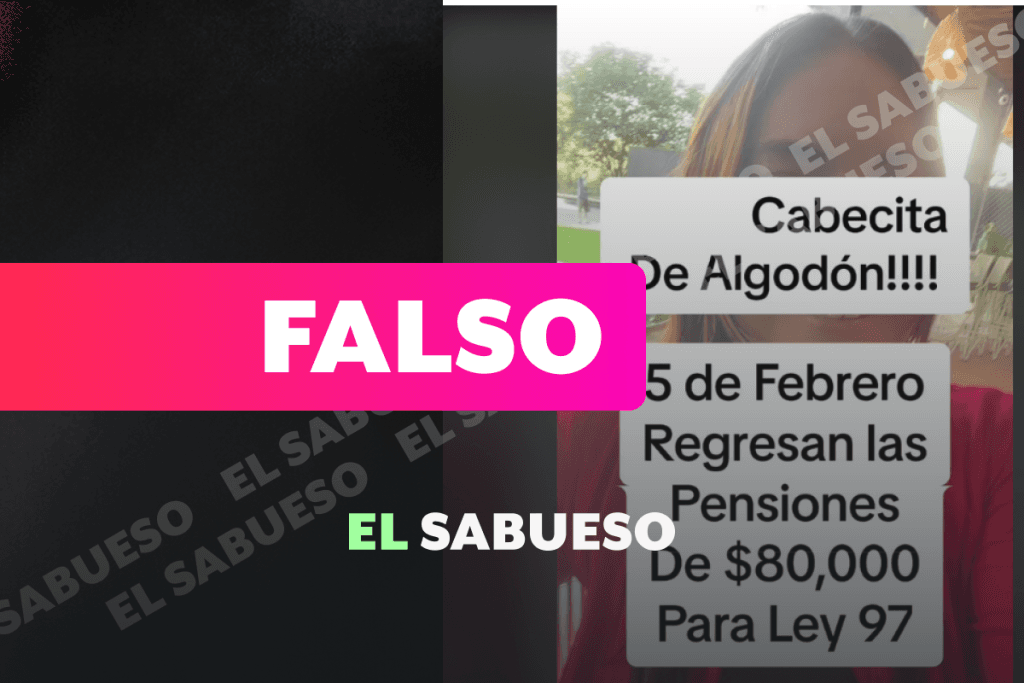 Falso: Las pensiones de la Ley 73 no volverán en febrero