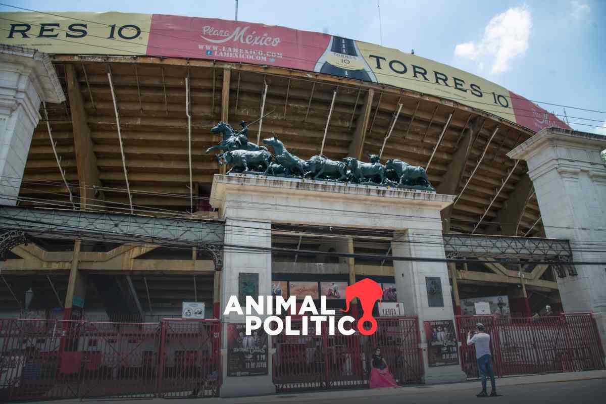 Frenan otra vez corridas de toros en Plaza México a días de su reanudación; recinto presenta recurso legal