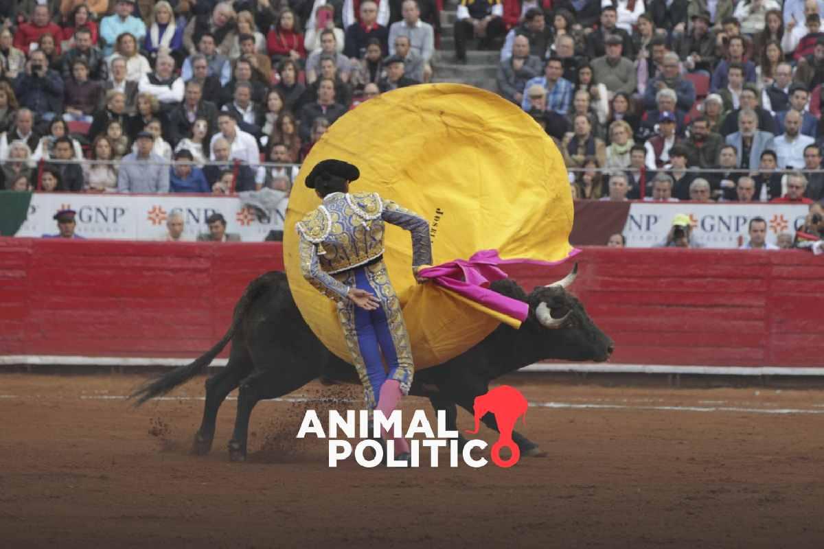Plaza México anuncia corridas de toros en CDMX, luego de que la Corte revocara suspensión