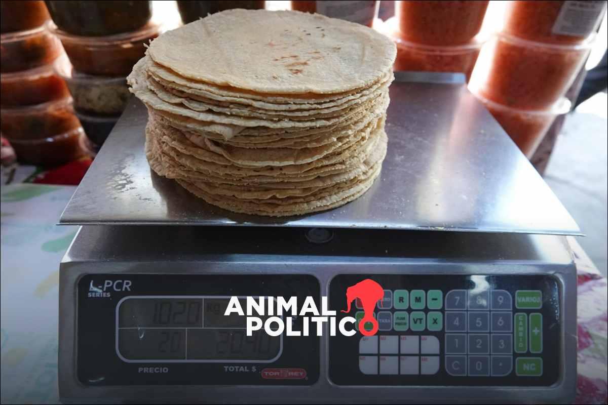 Gobierno Federal anuncia que este año no habrá incremento en el precio de la tortilla