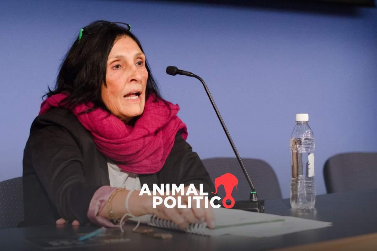 “No hay manera de hacer trampa”: coordinadora de Signa Lab responde a críticas de Morena y Sheinbaum