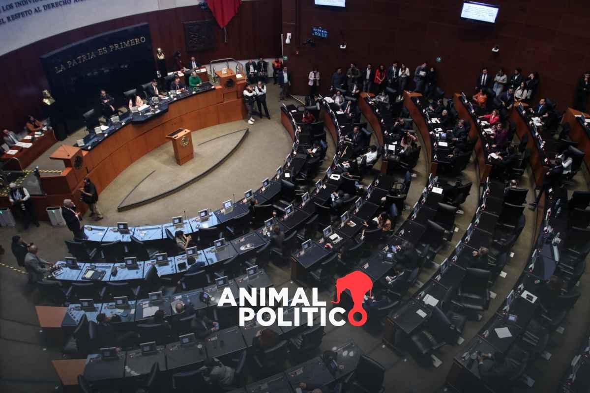 Estas son las recomendaciones de colectivos al Senado para los 41 nombramientos públicos pendientes