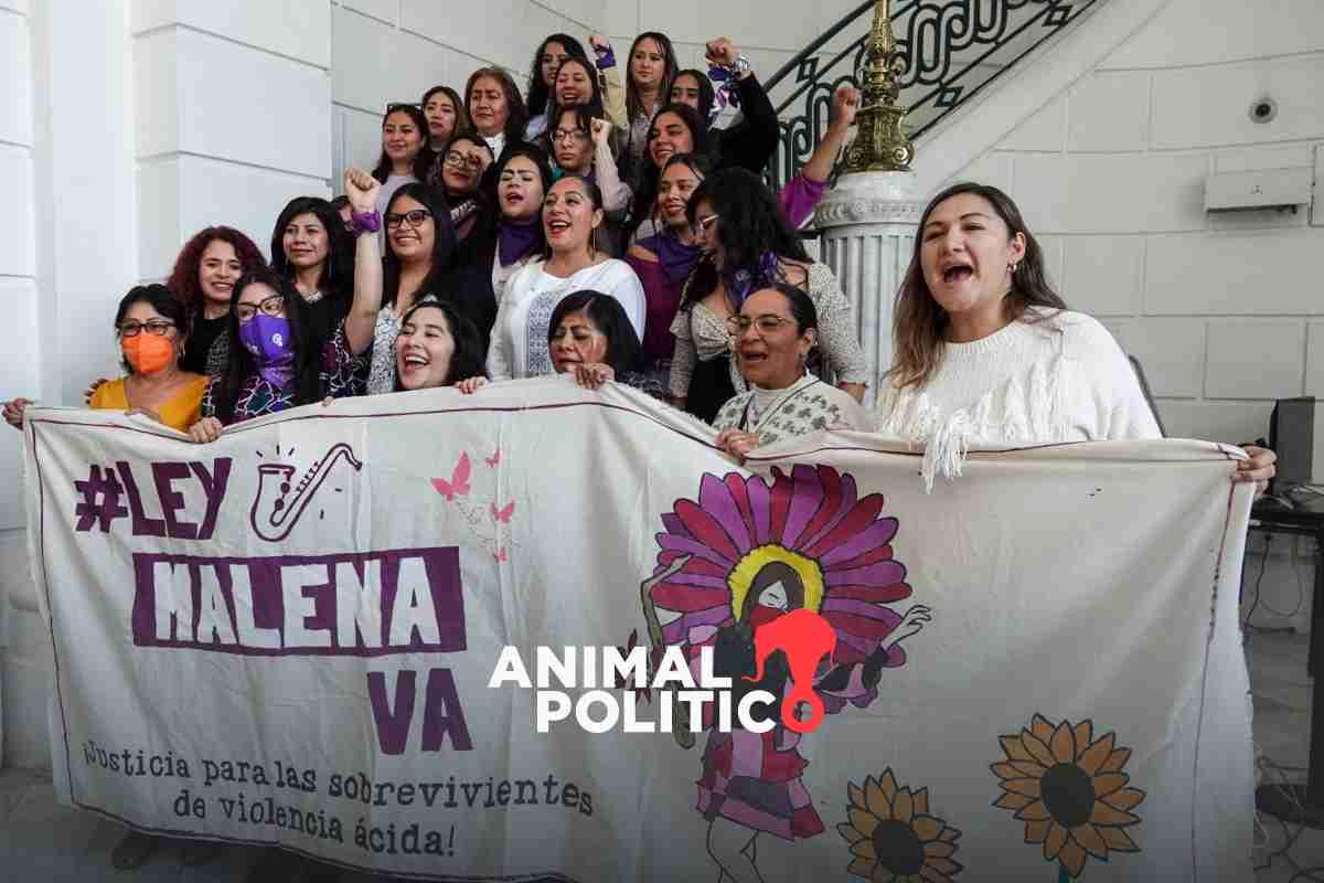 Congreso De Cdmx Aprueba La “ley Malena” Para Castigar Ataques Con ácido