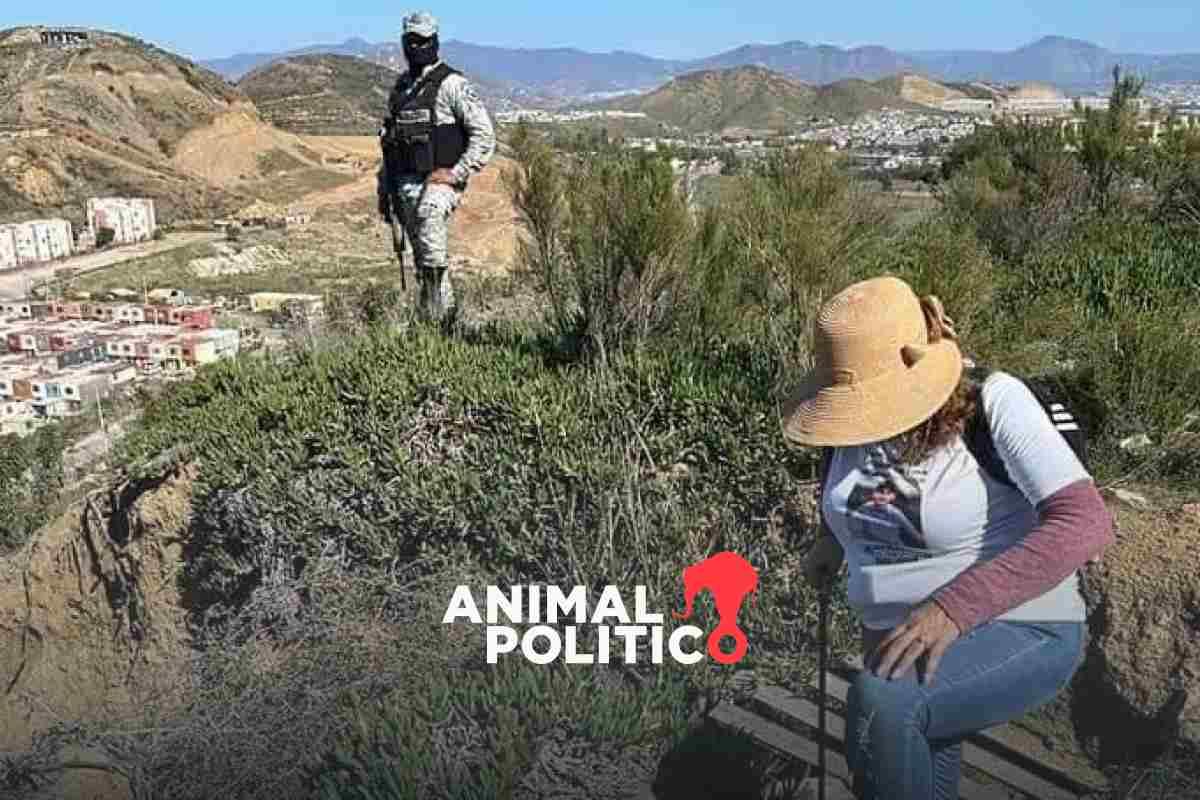 Colectivos localizan al menos 10 cuerpos en un fraccionamiento en Tijuana, Baja California