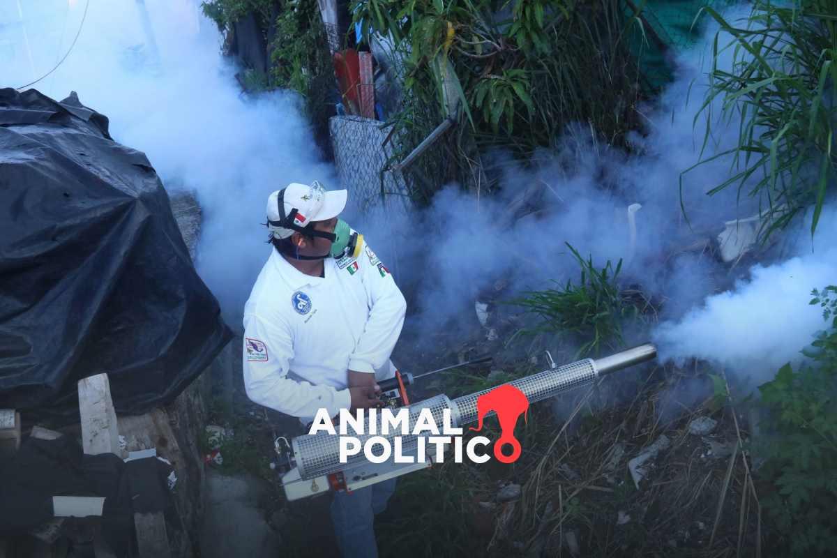 Se disparan casos de dengue de 21 a más de 2 mil en el año; Guerrero tiene 33%