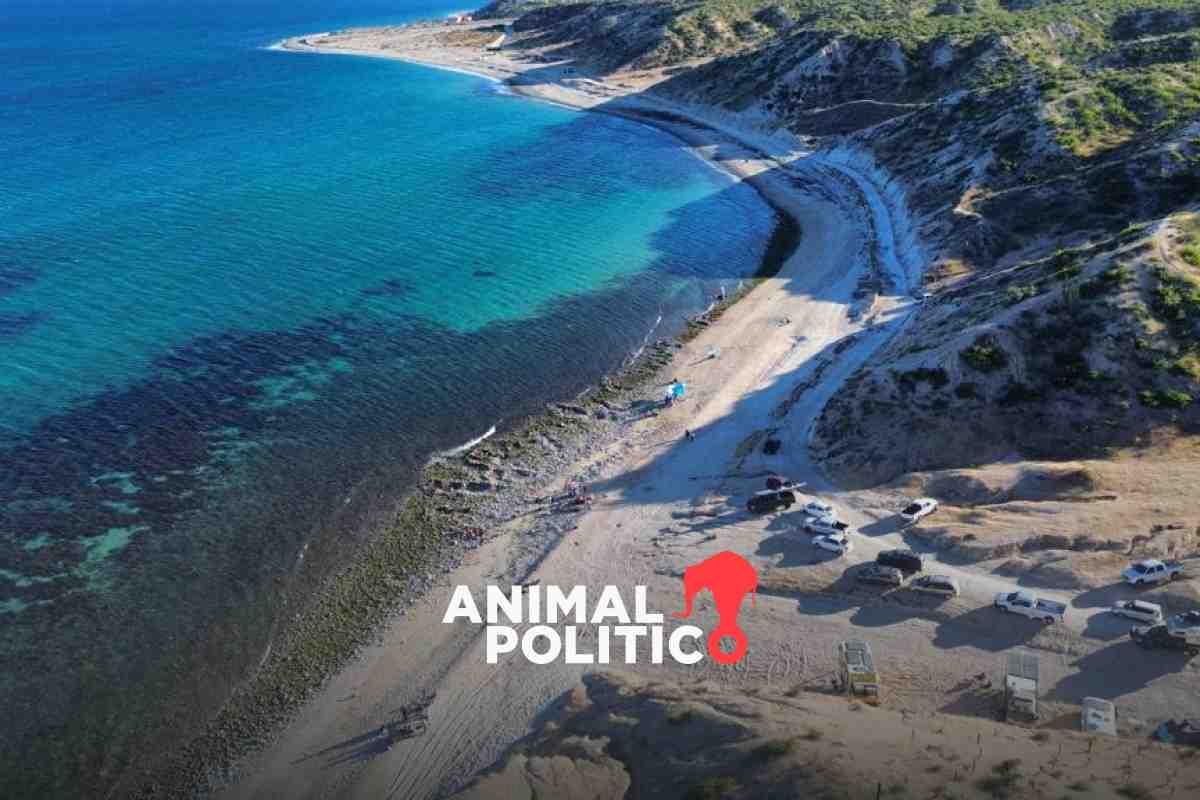 Pobladores de playa Agua Caliente en BCS defienden su territorio ante intentos de privatización