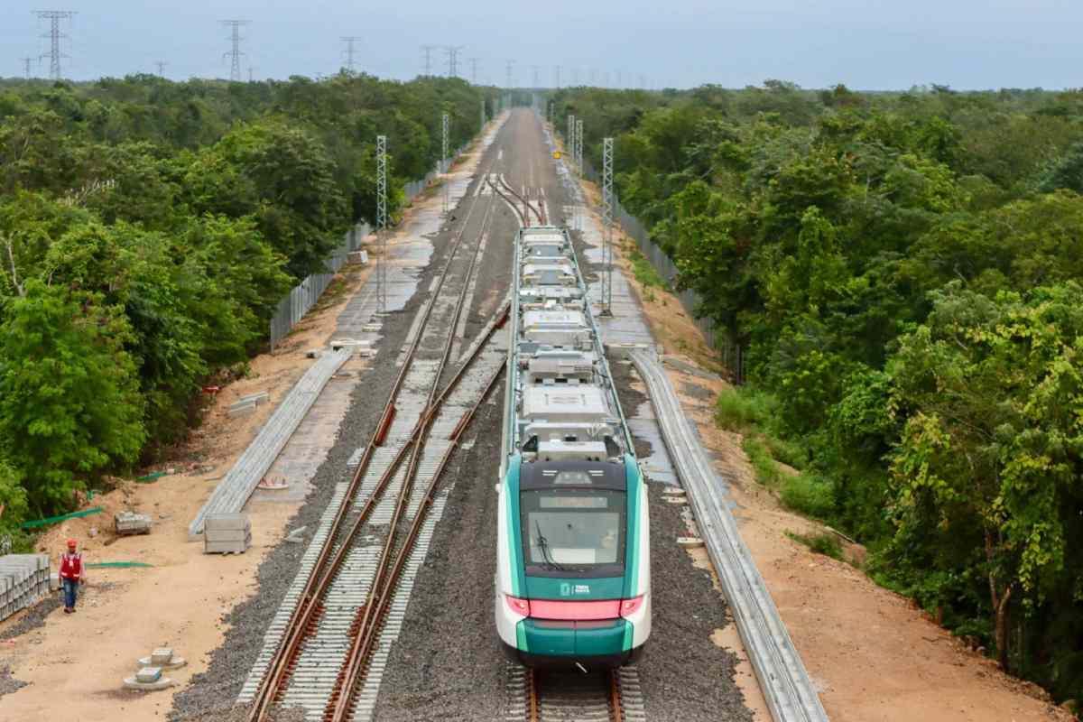 Talan 7 millones de árboles para construir el Tren Maya